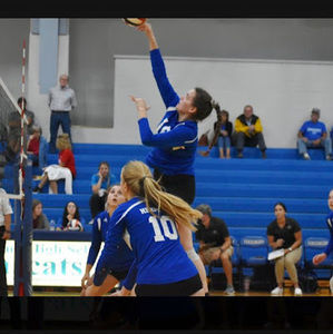 Meet your Posher, Natalie